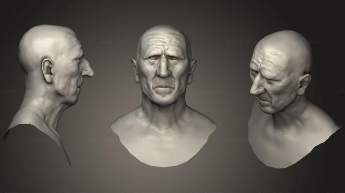 Anatomy of skeletons and skulls (human bust sculpt, ANTM_0690) 3D models for cnc